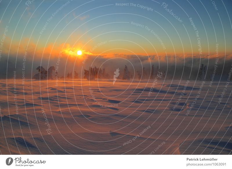 Sonnenaufgang auf dem Feldberg Ferien & Urlaub & Reisen Tourismus Winter Schnee Umwelt Natur Landschaft Himmel Schönes Wetter Nebel Berge u. Gebirge Schwarzwald