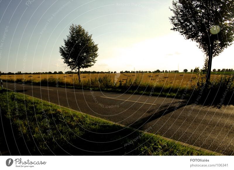 Dorfidylle Wohnung Feld Baum Idylle Sonnenuntergang Dämmerung Landstraße Heuballen Ernte ruhig schweigen schön plitschard Getreide Ackerbau Natur Schatten