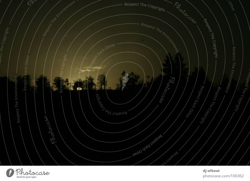 moonlight shaddow Nacht kalt Baum Feld dunkel Licht schwarz gelb Hoffnung Trauer böse Angst Panik Abend siluette Schatten Natur Ende Sonnenuntergang