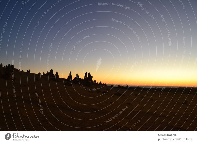 Pinnacles Australien Natur Landschaft Erde Sand Wolkenloser Himmel Horizont Sonnenaufgang Sonnenuntergang Wüste alt außergewöhnlich dunkel Ferne Unendlichkeit