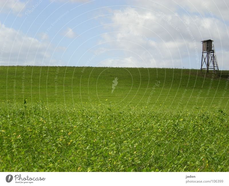 Turm h8 Farbfoto Außenaufnahme Textfreiraum unten ruhig Jagd Ferne Leiter Landschaft Himmel Horizont Sommer Wiese Feld Hochsitz Wildtier Neugier blau grün