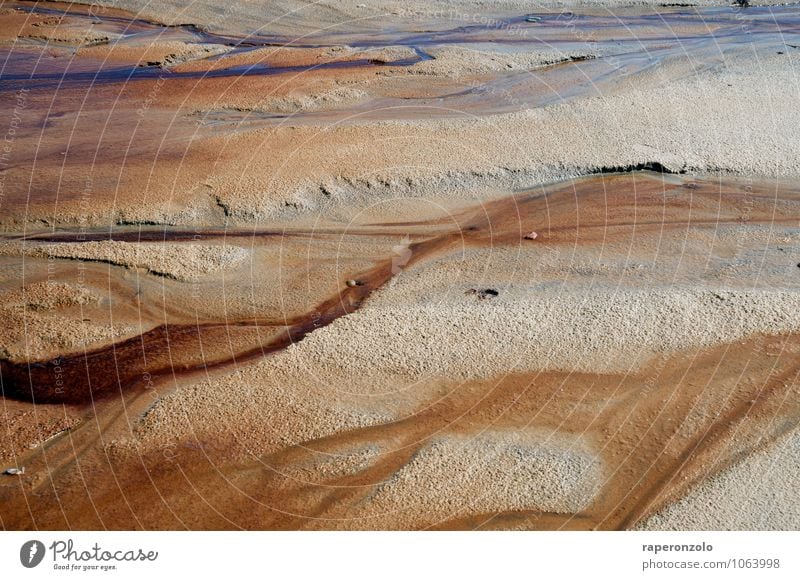 Les Pins sec Natur Sand Wasser Strand Meer braun Ewigkeit fließen Delta Mineralien Strukturen & Formen formen ewig verzweigen feucht eisenhaltig Boden Erde