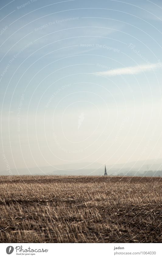 abschied nehmen. Landwirtschaft Forstwirtschaft Umwelt Natur Landschaft Erde Sonnenlicht Frühling Schönes Wetter Nutzpflanze Feld Kirche Turm Gebäude