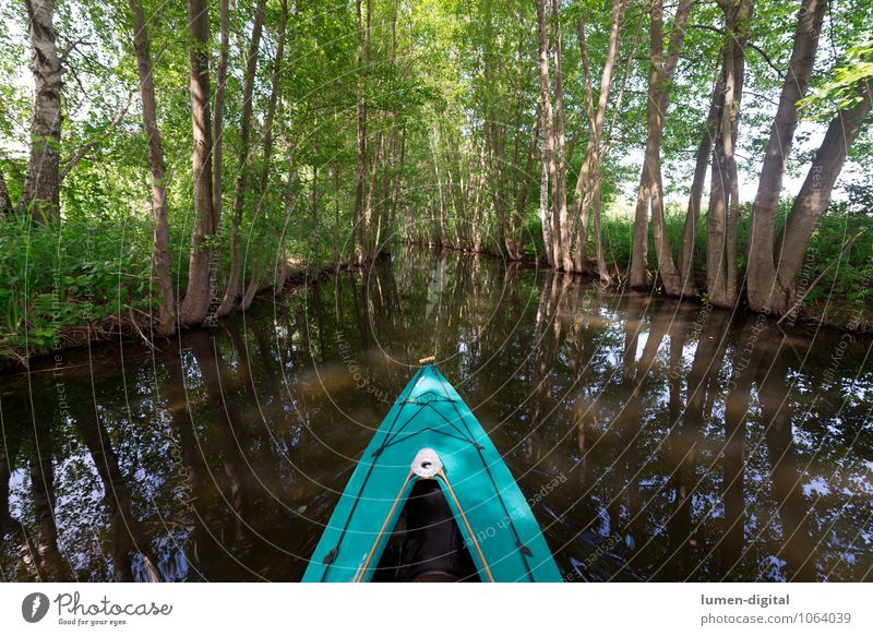 Paddelboot auf einem Kanal Erholung Freizeit & Hobby Sommerurlaub Wassersport Frühling Baum Flussufer Bach Bootsfahrt Sportboot Wasserfahrzeug sportlich