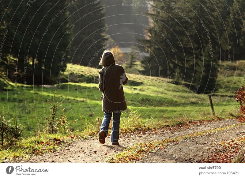 Outdoor Wald heimwärts Herbst grün Wiese Waldrand Zaun Baum Freizeit & Hobby wandern mehrfarbig Herbstfärbung Einsamkeit Jugendliche Spaziergang Home