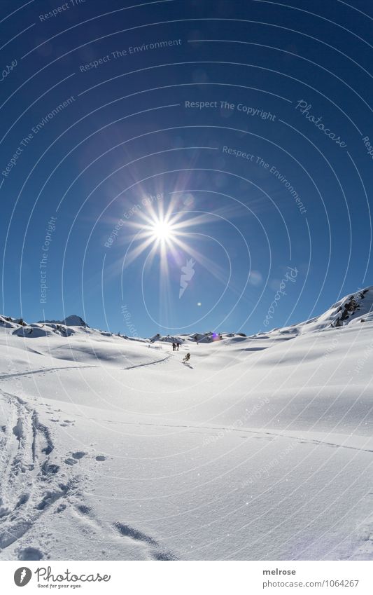 traumhaaaaft Freizeit & Hobby Schitour Schneewanderung Wintersport Landschaft Wolkenloser Himmel Schönes Wetter Felsen Berge u. Gebirge Muttjöchle Klostertal