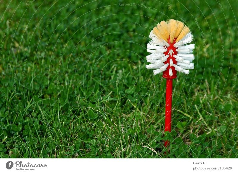 plastic flower Toilettenbürste Reinigen Reinigungsmittel Haushalt Kurzwaren Körperpflegeutensilien Gras Wiese rot weiß Borsten obskur Qualität Bürste spülbürste