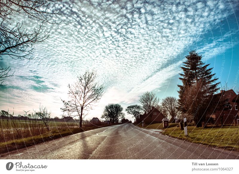 Willkommen in Emmelsbüll-Horsbüll Umwelt Natur Himmel Wolken Baum Gras Feld Menschenleer Haus Verkehr Verkehrswege Straßenverkehr Autofahren Unendlichkeit blau