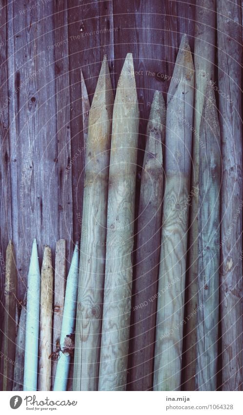 Größenunterschied Umwelt Natur Winter authentisch blau braun Holzwand Material Holzpfahl Holzhütte Dinge Naturmaterial natürlich Holzstruktur holzig Abholzung