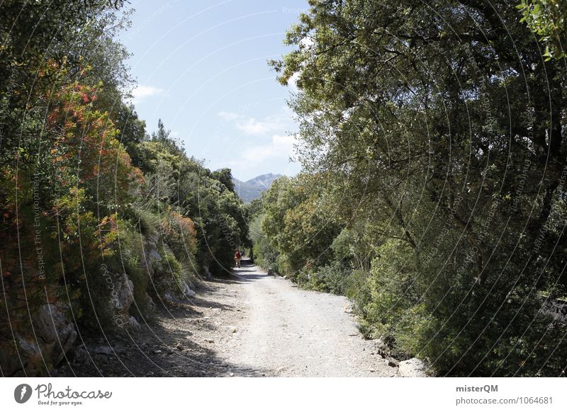 el comienzo. Kunst Abenteuer ästhetisch Wege & Pfade wandern Mallorca Spanien Serra de Tramuntana grün Natur Ferne Fernweh Rucksacktourismus Rucksackurlaub