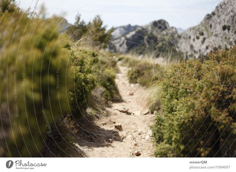 Spanische Pfade. Umwelt Natur Landschaft Klima Schönes Wetter Abenteuer ästhetisch Wege & Pfade Mallorca wandern grün steinig Spanien Farbfoto Gedeckte Farben