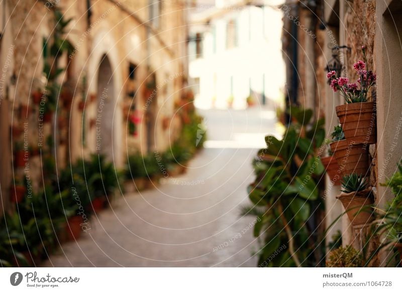 Topfgasse. Umwelt Natur ästhetisch Gasse Spanien Mallorca Valldemossa Blumentopf Straße Kleinstadt mediterran südländisch Farbfoto Gedeckte Farben Außenaufnahme