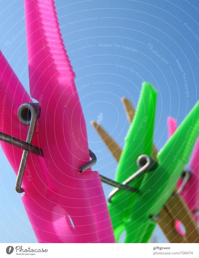 waschtag Wäscheklammern Wäscheleine Klammer rosa grün giftgrün grasgrün Holz mehrfarbig Farbe Handwerk Seil Himmel Blauer Himmel