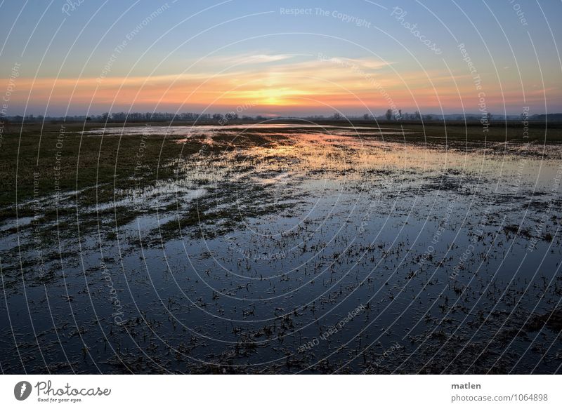 Havelwasser Natur Landschaft Wasser Himmel Wolken Horizont Sonnenaufgang Sonnenuntergang Winter Wetter Schönes Wetter Gras Wiese Küste Flussufer Bach blau grün