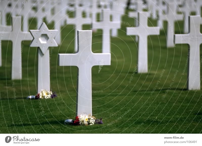 gräber 2 Denkmal Soldatenfriedhof sinnlos Grab Davidstern Judentum Krieg Friedhof Armee Gras Ewigkeit grün Weltkrieg Souvenir Ermahnung Erinnerung Gedächtnis