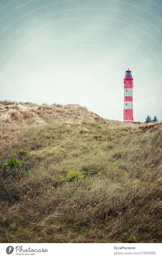 der Turm Sinnesorgane Erholung ruhig Ferien & Urlaub & Reisen Tourismus Ausflug Abenteuer Ferne Freiheit Sommer Meer Umwelt Natur Landschaft Himmel Wolken Klima