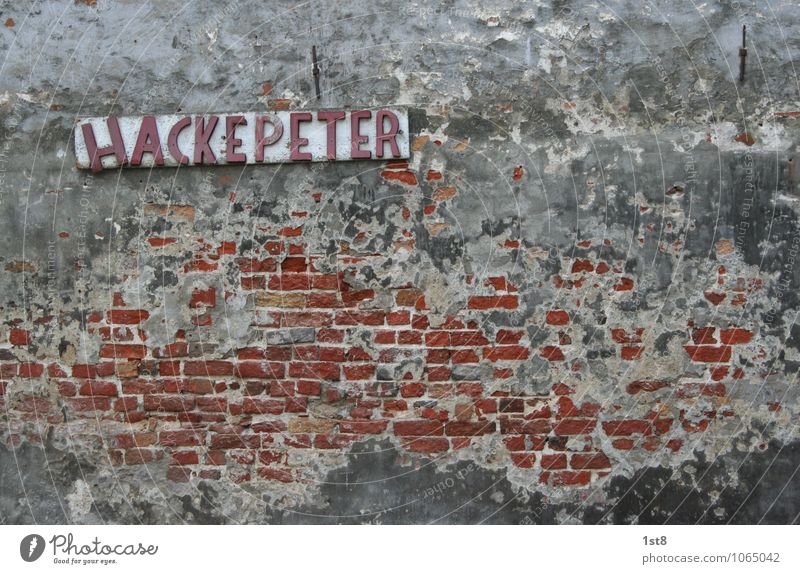 Peter Hacke - Metzgermeister Beruf Handwerker Gastronomie Kunst Kleinstadt Stadt Menschenleer Haus Fabrik Ruine Bauwerk Gebäude Architektur Mauer Wand Fassade