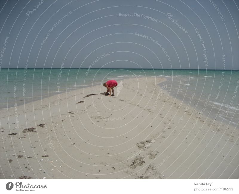 Muschelsammlerin II Meer Strand Kleid heiß Einsamkeit Ferne Horizont braun Sonnenbad Frau dick rund Wellen rein Karibisches Meer träumen himmelblau