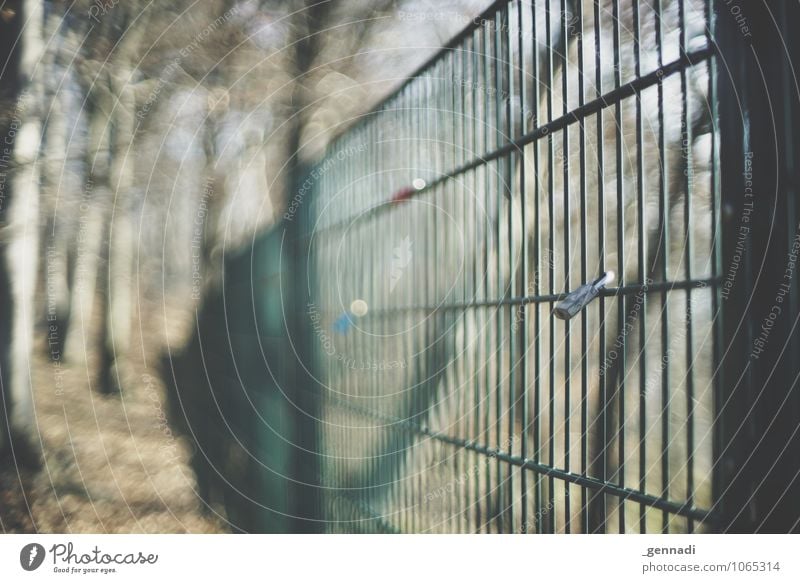 Sitzt, wackelt und hat Luft Schloss Zaun Hoffnung Liebeserklärung Liebesbekundung entdecken anhänglich Wald schließen Stabilität Sicherung Farbfoto Menschenleer