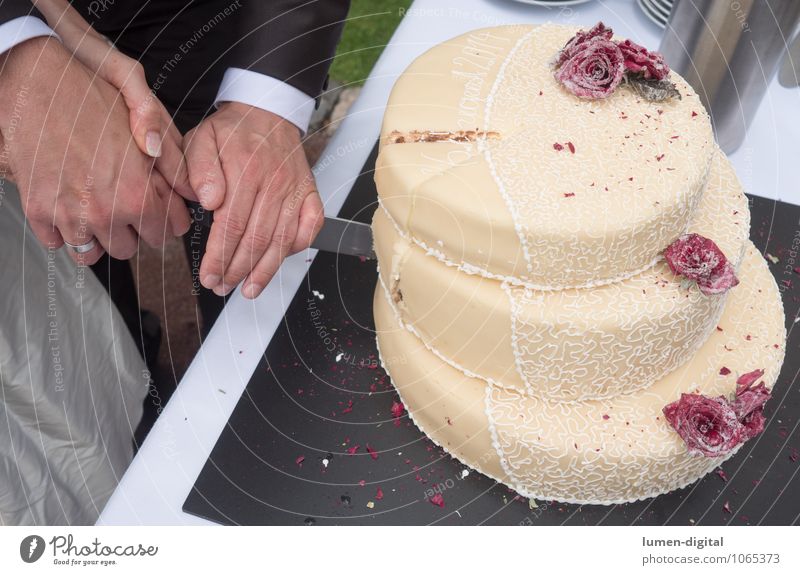 Hochzeitstorte Kuchen Hand 2 Mensch Zusammensein Ewigkeit Hoffnung Leben Liebe Zukunft Ehepaar Heirat Torte Backwaren messer schneiden Rosen Liebespaar Treue