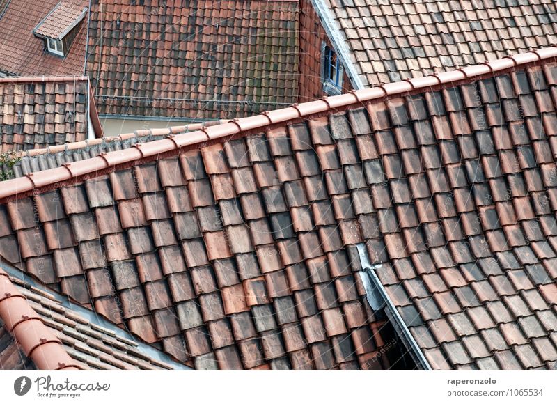 Ein Hoch auf den Dachdecker Haus Quedlinburg Kleinstadt Stadtzentrum Menschenleer Sehenswürdigkeit rot Erfahrung Schutz Sicherheit Tradition