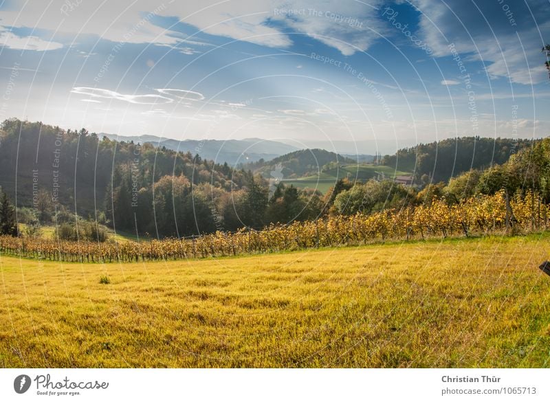 Herbstlich harmonisch Wohlgefühl Zufriedenheit Erholung Meditation Freizeit & Hobby Ferien & Urlaub & Reisen Tourismus Ausflug Ferne Freiheit Berge u. Gebirge