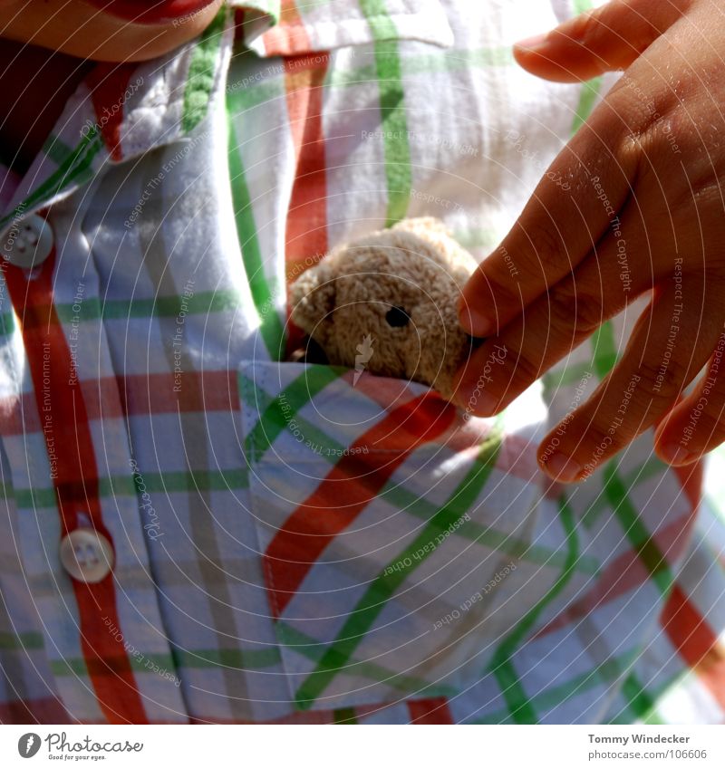 Versteck dich Teddybär Stofftiere Kind Kleinkind kindlich Spielzeug Kuscheln niedlich klein Fell süß Nachkommen Glücksbringer Spielen Geschenk Hemd Hand