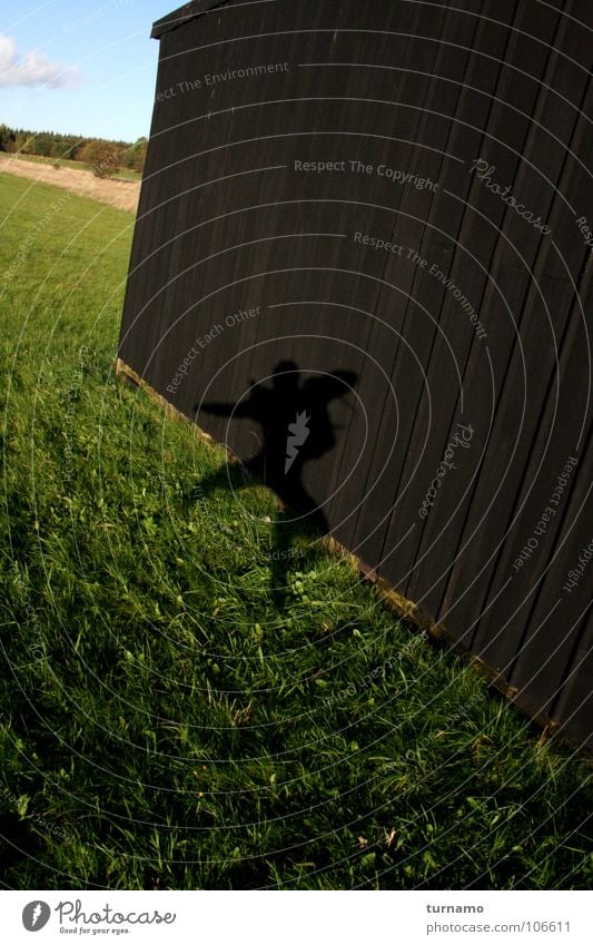 Jump Schatten Freude springen hüpfen Sommer Ausgelassenheit hoch Wiese grün Spielen super Wetter mein Schatten kann höher springen als ich Spiel und Spaß