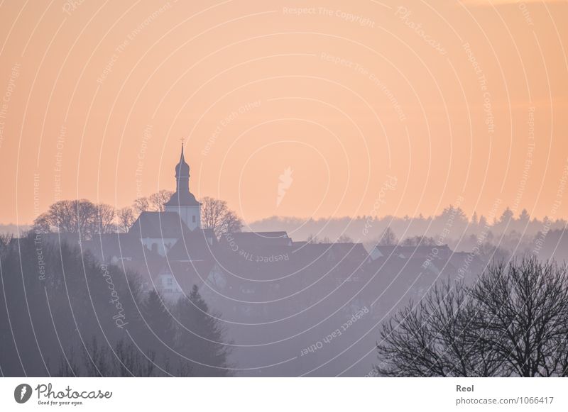 Oranger Himmel Urelemente Luft Wolkenloser Himmel Sonnenaufgang Sonnenuntergang Herbst Winter Baum Wald Hügel Horizont Silhouette Kreis Paderborn Dorf Skyline