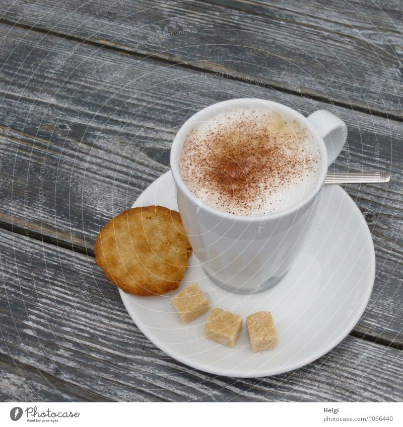 Cappu... Lebensmittel Teigwaren Backwaren Süßwaren Plätzchen Zucker Cappuccino Schaum Kaffeetrinken Getränk Heißgetränk Geschirr Teller Tasse Löffel Tisch Holz