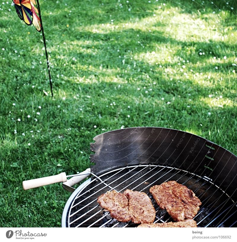 grillen Grill Grillen Bratwurst Würstchen Steak Picknick Sommer Ferien & Urlaub & Reisen Freizeit & Hobby Sonntag Feiertag Vatertag Nachmittag Mittag Wiese grün