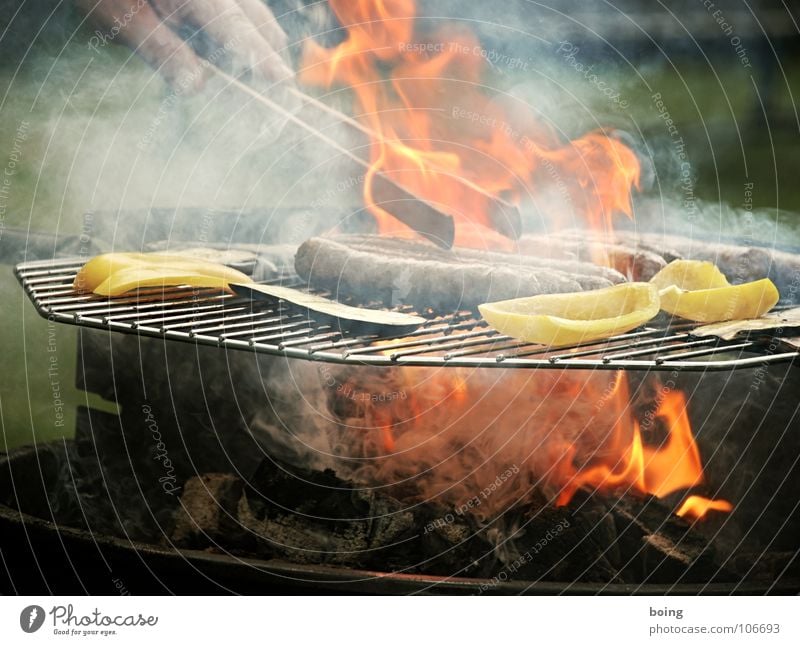 grillen Grill Grillen Bratwurst Würstchen Picknick Sommer Ferien & Urlaub & Reisen Freizeit & Hobby Sonntag Feiertag Vatertag Nachmittag Mittag grün Fleisch