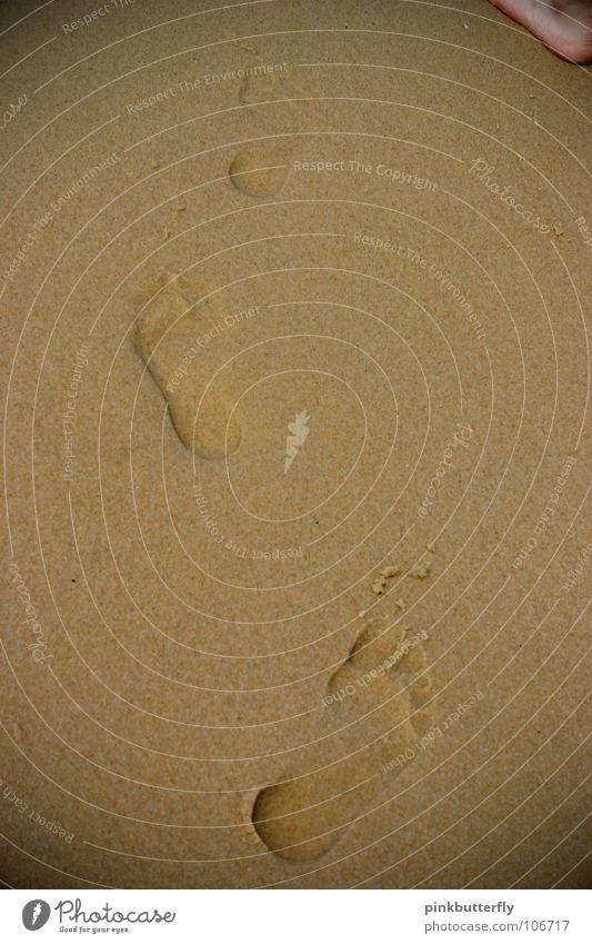 Deine Spuren im Sand..... Meer See Wellen Strand nass Barfuß Zehen Fußspur Erbe Erde Küste Wasser seichtes Wasser