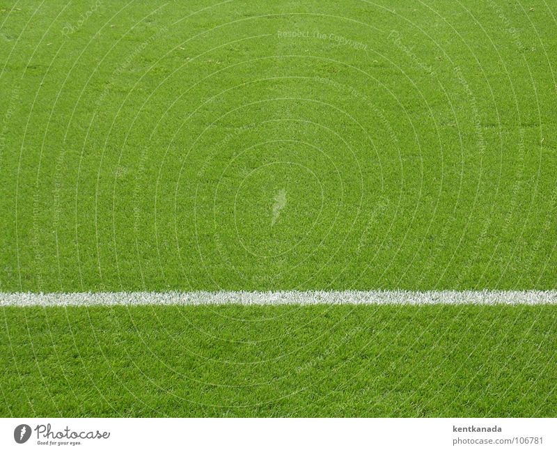 Rasenteppich Sport Ballsport Fußball Sportstätten Fußballplatz Frühling Wiese Blick Farbfoto Außenaufnahme Muster Strukturen & Formen Menschenleer