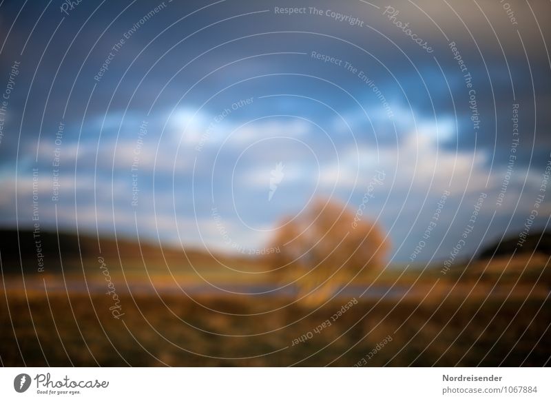 Entrückt.... Ausflug Natur Landschaft Urelemente Wolken Gewitterwolken Unwetter Baum Wiese See dunkel natürlich mehrfarbig Romantik ruhig Reinheit Hoffnung