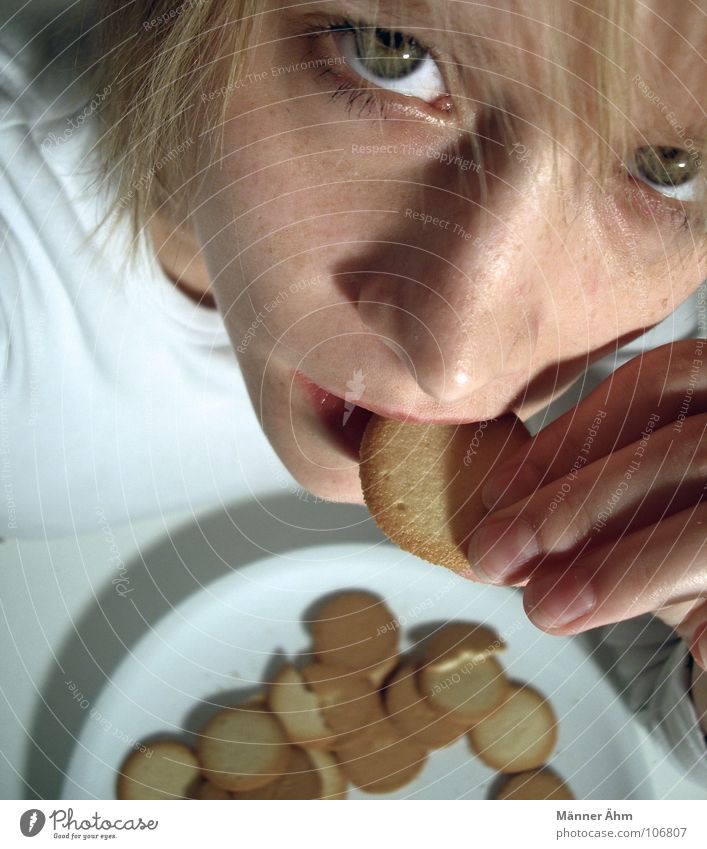 Krümelmonster #1 Keks Plätzchen Backwaren Ernährung Süßwaren Frau Tisch Teller weiß rund krümeln Blick Haare & Frisuren Essen