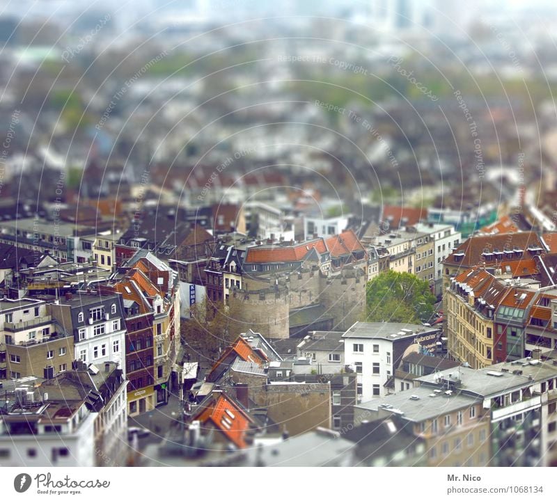 Großstädter Umwelt Stadt Stadtzentrum Altstadt bevölkert Haus Platz Gebäude Architektur Verkehr Straße Höhenangst Tilt-Shift Nachbarhaus Stadtleben Dach