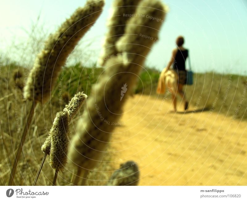 Ein Andalusischer Spaziergang Spanien Andalusien Südeuropa Süden Glut wandern Kornfeld Feld Nahaufnahme Ferien & Urlaub & Reisen Gelbstich gelb Frau Tasche