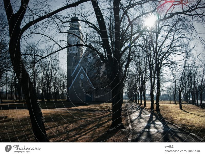 Falkenberg/Elster Umwelt Natur Wolkenloser Himmel Horizont Sonne Klima Wetter Schönes Wetter Baum Zweig Park Kleinstadt Kirche Bauwerk Gebäude Architektur