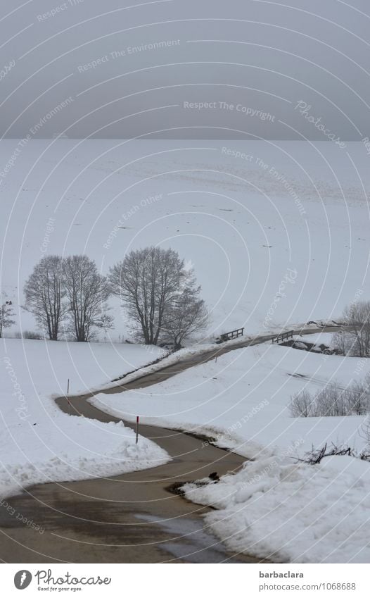 seinen Weg gehen Zufriedenheit Erholung ruhig Spaziergang Umwelt Natur Landschaft Erde Luft Himmel Winter Schnee Sträucher Bach Straße Wege & Pfade frisch