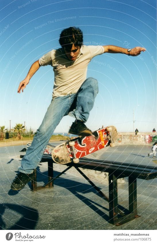 Skatepark Montevideo (Uruguay) Dos springen Palme Zufriedenheit Horizont Trick Geschwindigkeit Schwerkraft Freak Freude Freizeit & Hobby Extremsport