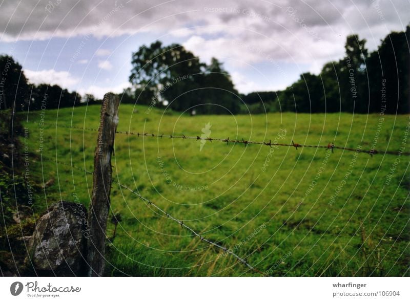 staket och landskap Sösdala weitläufig Schweden grün Wiese Baum Wolken Trennlinie Grenze Zaun Stacheldrahtzaun Außenaufnahme heglinge bosarpsjön offen