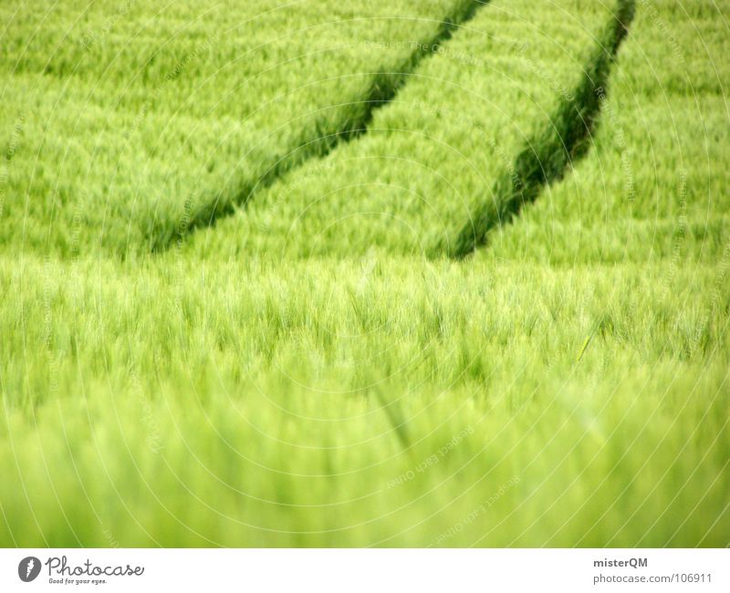 Brötchengeber Feld grün Ferne Einsamkeit ruhig Spuren dunkel Vordergrund Hintergrundbild Zutaten unreif Deutschland Gesundheit Heimat Gelassenheit