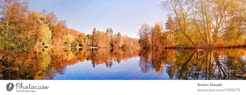 Herbstwald am See Leben Zufriedenheit Erholung ruhig Tourismus Ferne Natur Landschaft Himmel Horizont Klima Schönes Wetter Park Wald Seeufer fantastisch frisch