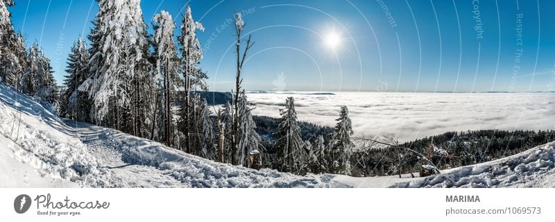 winter hike in the northern Black Forest on a sunny day ruhig Tourismus Sonne Winter Berge u. Gebirge Umwelt Natur Landschaft Wolken Baum Wald Hügel kalt grau