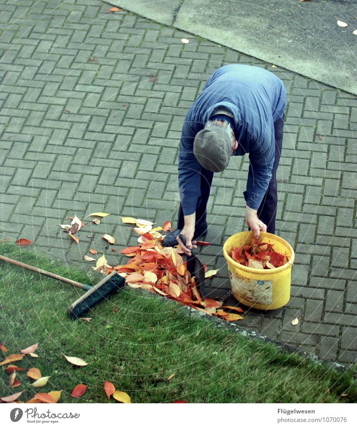 Der Saubermann Freizeit & Hobby Ferien & Urlaub & Reisen Großvater 1 Mensch 60 und älter Senior Pflanze Blatt Blüte nerdig Kehren herbstlich Herbstlaub