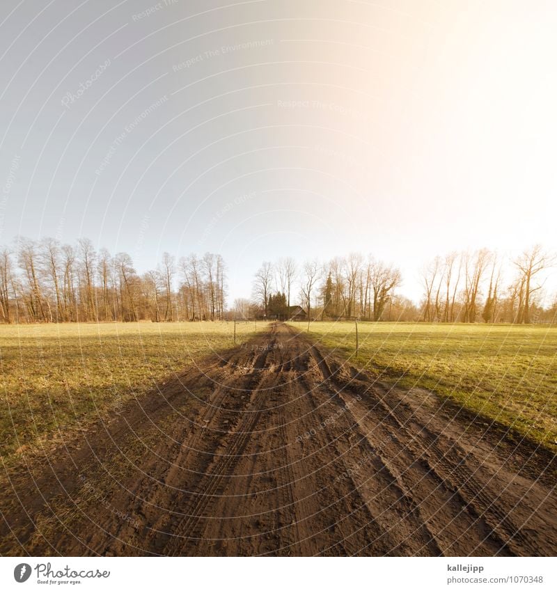 allradantrieb Umwelt Natur Himmel Wolkenloser Himmel Winter Klima Schönes Wetter Wiese Feld Verkehr Straße Wege & Pfade dreckig matschig Geländewagen Schlamm