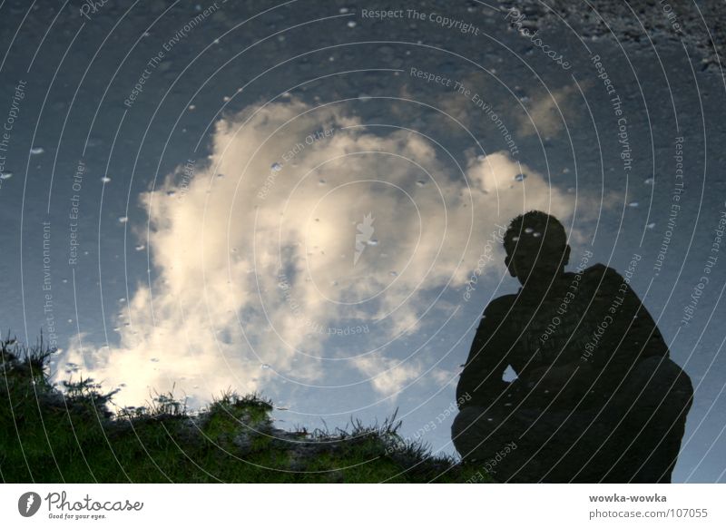 Nebo Wolken entgegengesetzt Waser Rasen Eugen Himmel blasen Abend