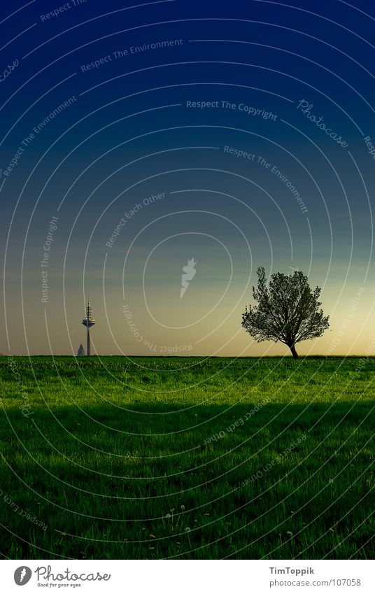 Frankfurter Wiesn Frankfurt am Main Messeturm Hochhaus Baum Wiese Antenne Fernsehempfang Hessen grün Gras Sonnenuntergang Feld Waldlichtung Wahrzeichen Denkmal