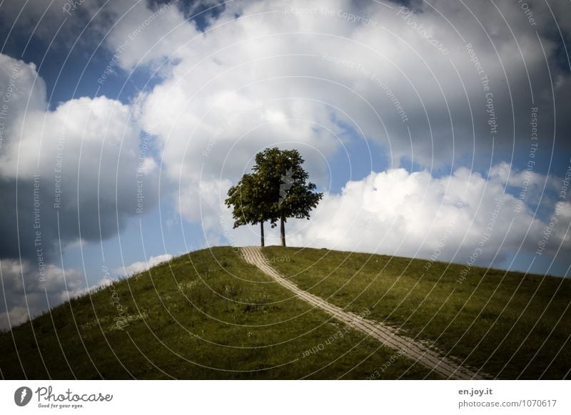 Bergfest Ausflug Umwelt Natur Landschaft Pflanze Himmel Wolken Sommer Baum Gras Park Wiese Hügel blau grün Frühlingsgefühle ruhig Wege & Pfade Karlsruhe